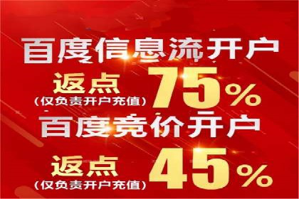 案例解析：SEM竞价策略优化技巧