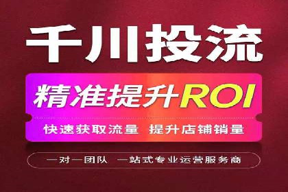 百度推广成功案例：打造行业领军品牌之路